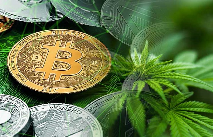 5starsstocks.com cannabis 